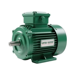 Nidec Leroy Somer Electric Motor 30hp 40hp 50hp 100hp 150hp 200hp 250hp 400hp 380v 400v 440v Three-Phase Engine Marine Motor