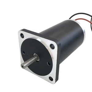 Brush DC Motor 52mm Diameter 24V 2800rpm 0.17N.m Permanent Magnet for Home Appliances Electric Bicycles Boats