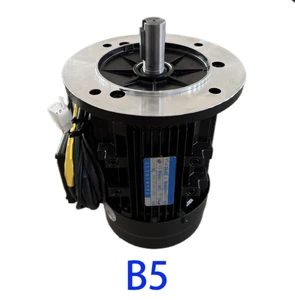 High-Power Dual Shaft Motor 48V 1.1KW 6.9N.M Torque 3000rpm Speed Brushless DC with Permanent Magnet Construction Waterproof