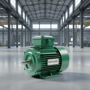 Nidec Leroy Somer Electric Motor 30hp 40hp 50hp 100hp 150hp 200hp 250hp 400hp 380v 400v 440v Three-Phase Ac Marine Motor