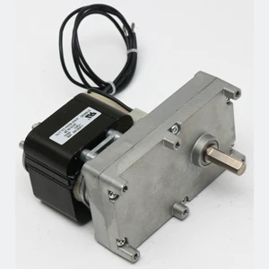 High Torque Low Rpm Gear Motor AC/DC