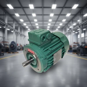 Full After Sales Service Leroy Somer Motors 2.2kw 5.5kw 11kw 30kw 55kw 3 Phase Induction Motor Ac Electric Motor for Petroleum