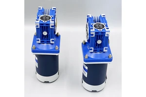 High Torque Environmental Monitor Sampler Drive Small DC Motor Rotating Billboard Drive Motor 24V 200W 3000rpm Ratio 10/20/30