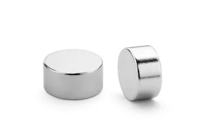 Chinese Factory Sale BLDC Motor Rotor Large Round Nickel Coating Neodymium Magnets
