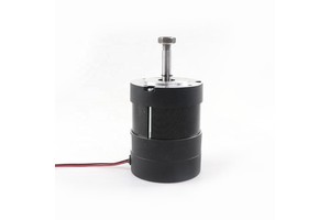 Micro Brushless Dc Motor