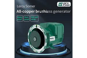 200kw 250kva Silent Diesel Generator LeroySomer LSA46.3 Alternator Salt Spray-proof Weatherproof Industrial Genset with ATS CE
