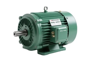 Squirrel Cage Nidec Leroy Somer Motor 1hp 2hp 3hp 5hp 7.5hp 10hp 15hp 20hp 25hp 30hp 40hp 50hp 75hp 100hp 3-phase Motor with Fan