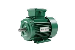 Nidec Leroy Somer Electric Motor 30hp 40hp 50hp 100hp 150hp 200hp 250hp 400hp 380v 400v 440v Three-Phase Engine Marine Motor