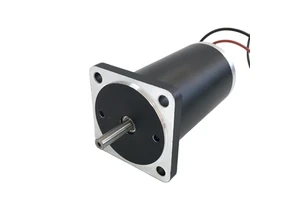 Brush DC Motor 52mm Diameter 24V 2800rpm 0.17N.m Permanent Magnet for Home Appliances Electric Bicycles Boats