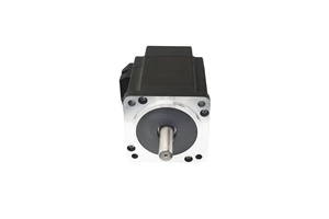 Factory Price 6mm Shaft 750W 2.5NM 3000RPM Permanent Magnet Construction Brushless DC Motor Kit for CNC Milling Machine