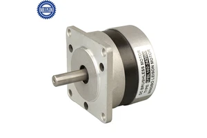Brushless Dc Motor 200w,bldc Motor 57mm,12v Brushless Dc Motor 3000 Rpm