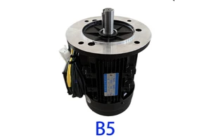 High-Power Dual Shaft Motor 48V 1.1KW 6.9N.M Torque 3000rpm Speed Brushless DC with Permanent Magnet Construction Waterproof