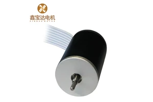 XBD-2234 BLDC Motor 12V/24V 8600RPM High Power 100W 18mNm Torque 22mm Frame Flange Mount for Smart Home & Home Appliance