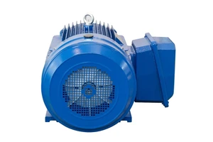 ND 1FK Series High-performance Induction Motor 60Hz Three-Phase NEMA Premium Efficiency Rated Torque