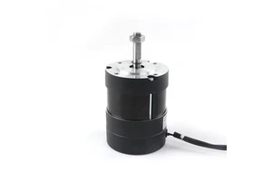 12v 24v 15w 30w 50w 100w 150w 3000rpm Bldc Motor 57mm Dia Brushless Dc Motor
