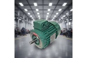 Full After Sales Service Leroy Somer Motors 2.2kw 5.5kw 11kw 30kw 55kw 3 Phase Induction Motor Ac Electric Motor for Petroleum