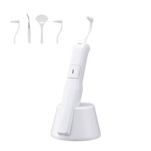 Portable Teeth Cleaning Machine Cordless Tartar Stain Removal Tooth Plaque LED Light Storage Base Electric Water Flosser