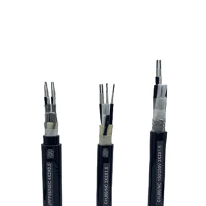IEC 60228 Copper Multi-core XLPE Insulated Instrumentation Cable Tinned Copper Braided Shield PLC Signal Control Wire 300V/500V