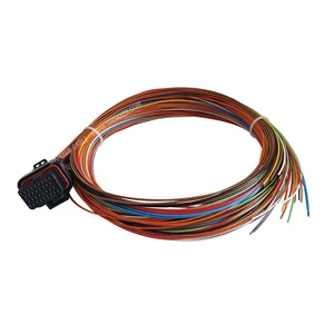 34P MIL-W22759/16 2.5m G4X ECUs ETFE Coated Tefzel Wire Wiring Harness ECU Universal Harness For Motorsport