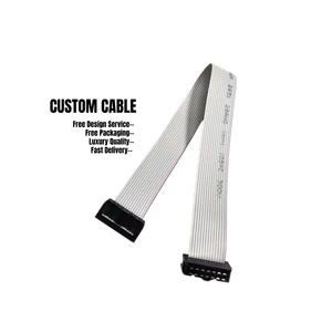 Custom Copper Core PVC Jacket Nylon Adapter Connector Flat Cable Assembly Custom Length Voltage for Motor/Display Signal