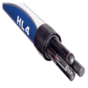 Hach Hydrolab HL4 Multiparameter Water Quality Sonde with Data Logging and Modular Sensors for Field Monitoring