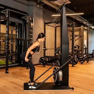 Cheernin Mechanical Steel Wind Resistance Trainer for CrossFit HIIT Cardio Gym Equipment Commercial Air Ski Machine