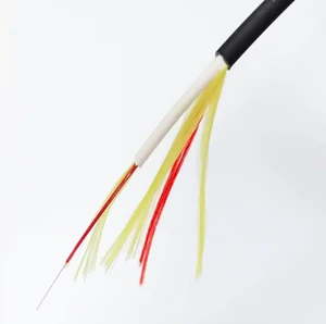 1 Core 2 Core 5.0mm FTTH Drop Cable G657A1 A2 G657B3 Round Fiber Cable 12 Fiber 1FO Reel 500M For Indoor Networking