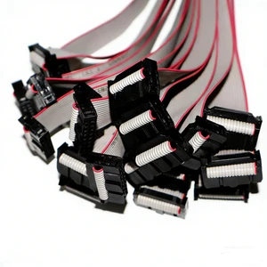 Custom Made 10 Conductor Flat Ribbon Cable 2.54mm IDC Connector Cables