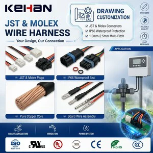 High Quality 2 4 6 Pin Copper Core IP66 12V Wiring Harness JST XH SH ZH Molex Cables 1.0/1.5/2.0/2.5 Pitch Board Wire Assembly
