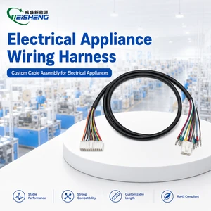 Factory Customized Electrical Custom Cable Wiring Harness with Multy Connector Cable Assembly