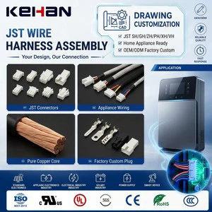 Custom Wire Harness JST Cable SH GH ZH PH XH VH Appliance Wiring Harness Oem Wiring Harness Factory