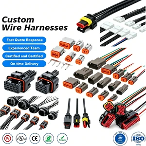 China Factory Custom Wire Harness Special Cable Professional Cable Assembly Manufacturer for Automotive Industrial Equipment