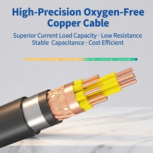 Anti-Interference Shielded KVVP22 Cable KVV22 Armored Control Wire Power Cable For Mining Railway Engineering