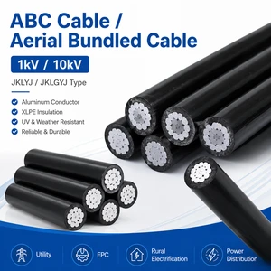 ABC Aerial Bundled Cable 0.6/1kV XLPE Insulated Aluminum Overhead Wire For Rural Overhead Power Distribution Network Project