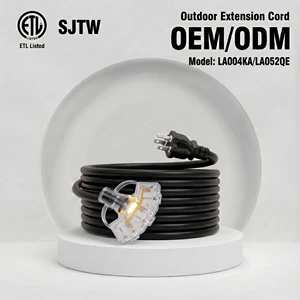 Linsheng ETL Listed 16/3 SJTW 3-Outlet Lighted 15A Heavy Duty Outdoor Extension Cord 25FT For Home Appliance
