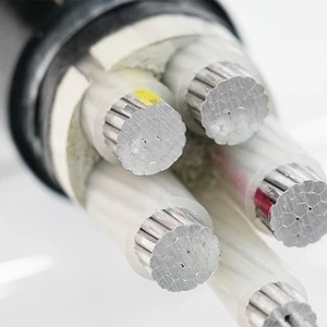 JKLYJ Single-Core Aluminum Heavy-Duty Mining Cable 0.6/1kV 4-70mm Overhead Power Cable Industrial Use XLPE Insulation IP67