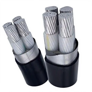 Customized Copper Clad Aluminum Core Cable ZAN-VLV/ZBN-VLV22 National Standard 1/3/4/5 Core 185mm Three-phase Four-core 0.6kv
