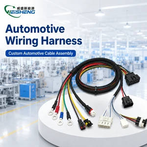 Professional Custom Wire Harness Cable Assembly for Automotive Motorcycle Use PVC/PTFE/PBT IP67 Rated ISO9001 for