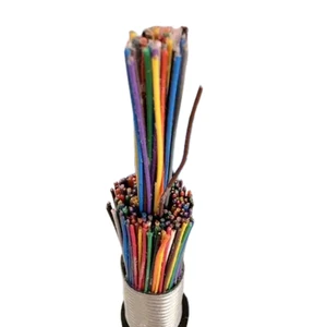 Shenguan Industrial Automation Multi-Core Shielded Control Cable Copper PVC Insulated 300/500V for Instrumentation