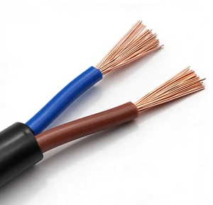 RVV Stranded Flexible Electrical Wire Multi-Core PVC Insulated Copper Conductor Power Cable for Residential Industrial Control