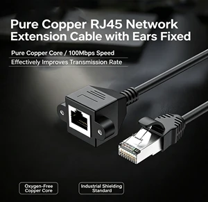 Customized RJ45 Extension Cable Cat6e Ethernet Male to Female Connector Cat 6 Custom Ethernet Rj45 Magnetic Module Price