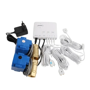 Professional Water Leak Detection Rope Sensor System Long Cable Probe for Pipe Floor Moisture Monitoring with DN20 Water Valves