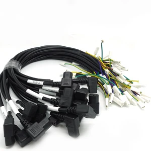 Customized High Quantity Copper Wire Harness Cable Assembly with Adapter Connector 200mm Length for Electric Vehicle