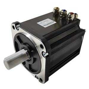 Delta Single-phase 100W Servo Motor with Spindle Motor and Direct Drive IE4 Efficiency Flange Mount 3000 RPM