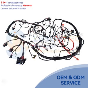 Professional Manufacturer Customized Production All Kinds Equipment Automotive Wiring Cables Assemblies and Auto Wire Harness