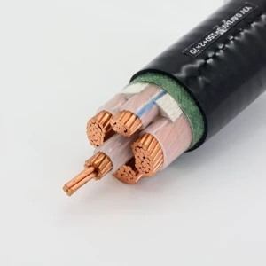 Commercial Equipment Industrial Power Cord 1.4 Low Voltage Power Cable with Plug