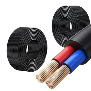 Industrial Stranded Copper Core Multi-Conductor Cable RVV 2/0-20 AWG Range PVC Jacketed for Machinery and Control Panel Wiring