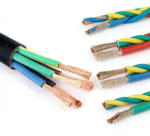 BVR BVVB BV XLPE Flexible Heavy-Duty Mining Cable IP67 Rated 0.6/1kV Water-Resistant Solid Core Electric Wire Industrial Power