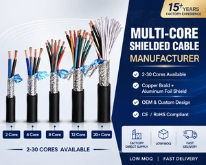 Multicore Shield Cable 2/4/6/8/12/16/20/24/30 Core 10-26AWG PVC/LSZH Jacket For Security Steam Machine Control