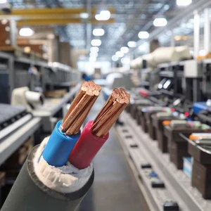 High-End XLPE Armoured Industrial Power Cable 2/0 OFC Copper Wire with PVC Steel Wire Armour 2x4 PVC Insulation for Railway Use